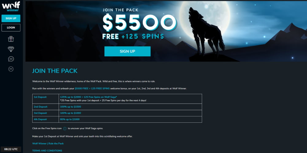 Wolf Winner e-wallet casino