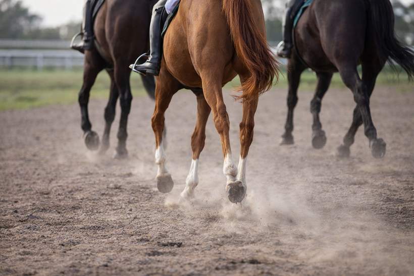 BGC Warns of Rising Illegal Gambling During Royal Ascot